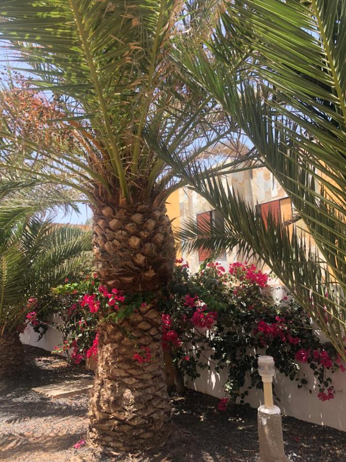 Apartamento Sunny Complex Amaya Fuerteventura Costa De Antigua Buitenkant foto