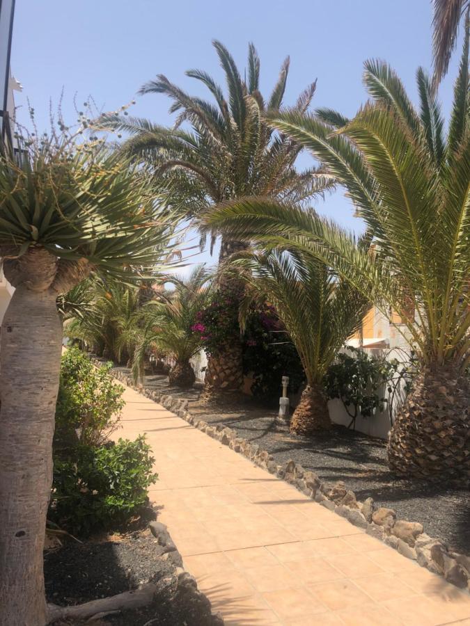 Apartamento Sunny Complex Amaya Fuerteventura Costa De Antigua Buitenkant foto